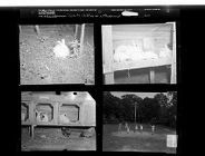 Rabbits; Children on a Playground (4 Negatives) 1950s, undated [Sleeve 1, Folder a, Box 22]